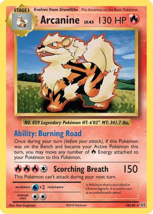 Arcanine 18/108 - XY Evolutions Reverse Holofoil