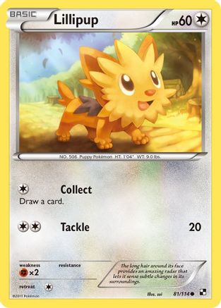 Lillipup (81) 81/114 - Black and White