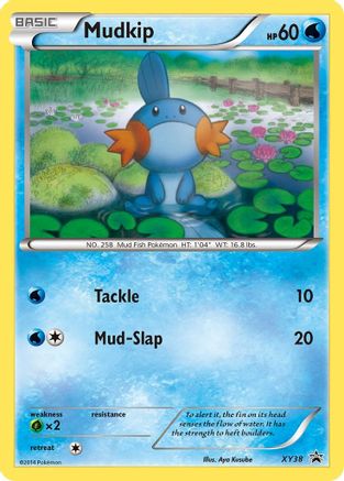 Mudkip - XY38 XY38/211 - XY Promos Holofoil