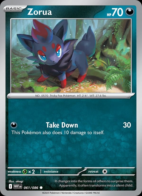 Zorua (Master Ball Pattern)