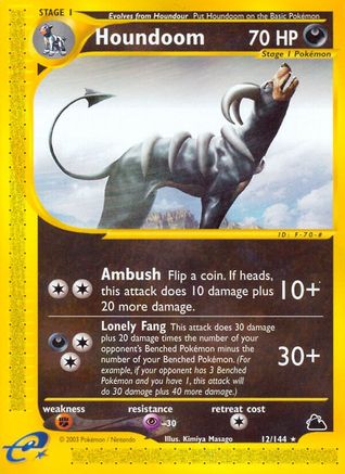 Houndoom (12) 12/144 - Skyridge Reverse Holofoil