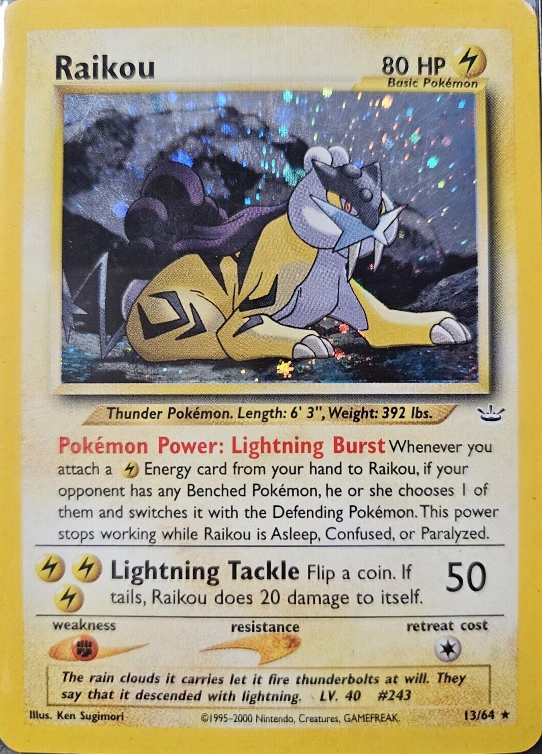 Raikou (13)