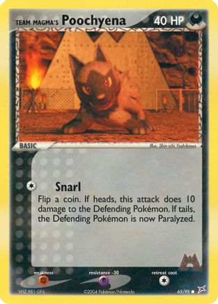 Team Magma's Poochyena - 65/95 65/95 - Team Magma vs Team Aqua